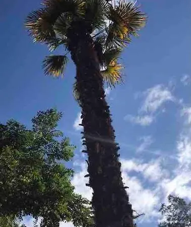 Maison Du Saleys Dom wakacyjny Salies-de-Béarn